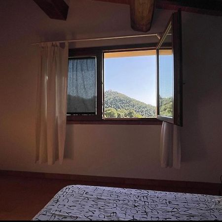 Agriturismo Il Sorbo Appartamento Menta Sticciano Extérieur photo